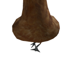 jeff