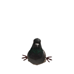DCyLT