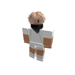 Msfs_Ninja