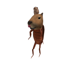 Bean