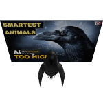 Memerviller