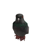 RARESCELBOSS