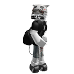 Zor