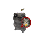 Fedball