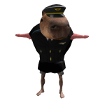 captain_capy