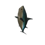 Fishy_Gaming