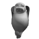 SealRider