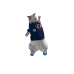 TocinitoBloxxRTG