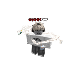 Echo